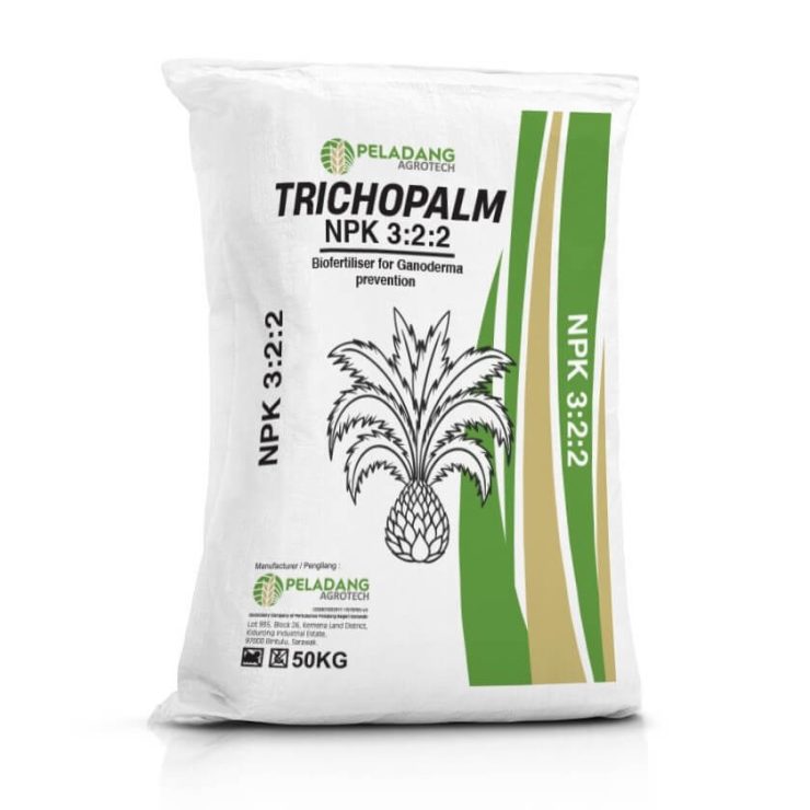 Trichopalm-1.jpg